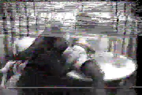 Midwest Porn Videos Xhamster