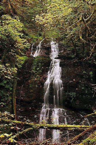 Bridge Creek Falls Oregon Road Trip Oregon Waterfalls Waterfall