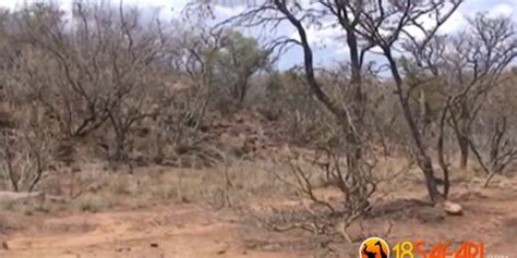 Ebony Maid Cleaning The Bosses Ass With Tongue Tnaflix