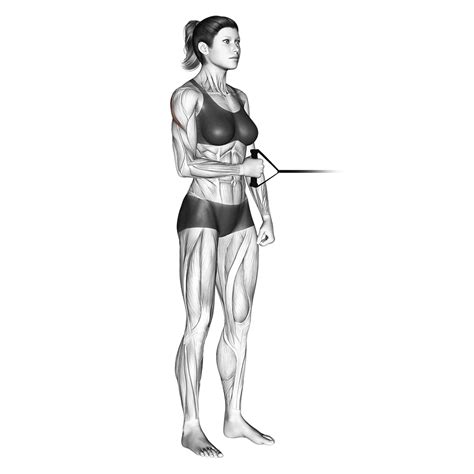 4 Best Rotator Cuff Shoulder Impingement Exercises With Pictures