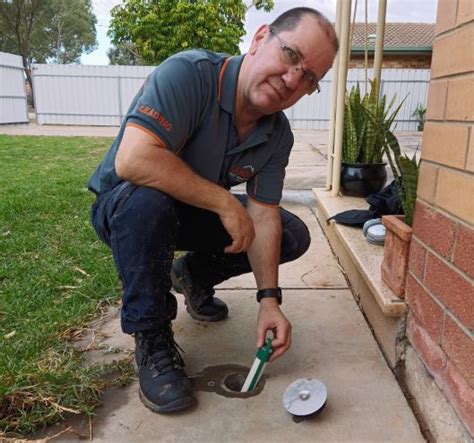 Building Inspection Adelaide Leading Building And Pest Inspections