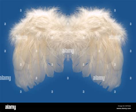 On Angel Wings Hi Res Stock Photography And Images Alamy