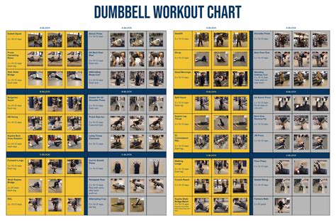 Week Dumbbell Workout Plan Pdf