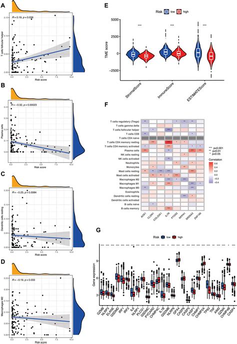 Frontiers Identification Of Pyroptosis Related Gene Signatures And