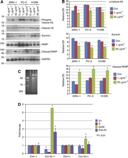 Cuc IIa Induces Cell Cycle Alteration And Apoptosis Involving Survivin