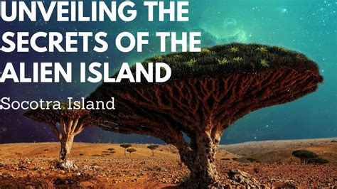 Enigmatic Socotra Unveiling The Secrets Of The Alien Island Youtube