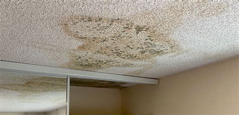 How To Fix A Leaking Concrete Ceiling Two Birds Home