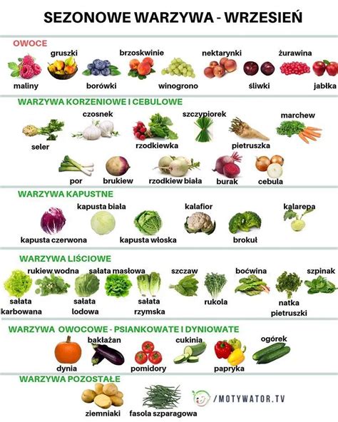 Warzywa Nazwy I Zdjęcia Polska Zdjecia