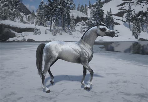 New arabian horse - Allmods.net