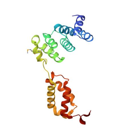 Rcsb Pdb 3tl4 Crystal Structure Of The Trna Binding Domain Of