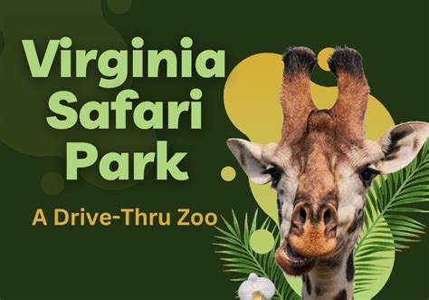 An Unforgettable Experience At The Virginia Drive Thru Safari Park