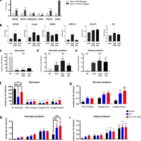 A Changes In Mrna Gene Expression Of Day Hipsc Cms Seeded As A