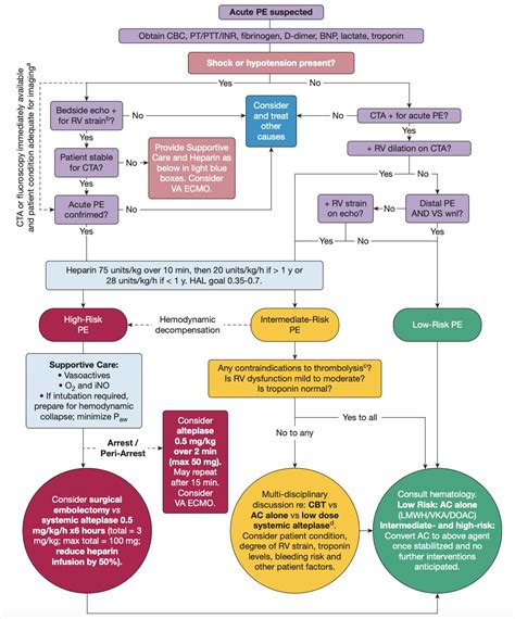 Pulmonary Embolism Treatment Algorithm