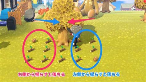 【あつ森】どんぐりの効率的な集め方と使うレシピ【あつまれどうぶつの森】 ゲームウィズ