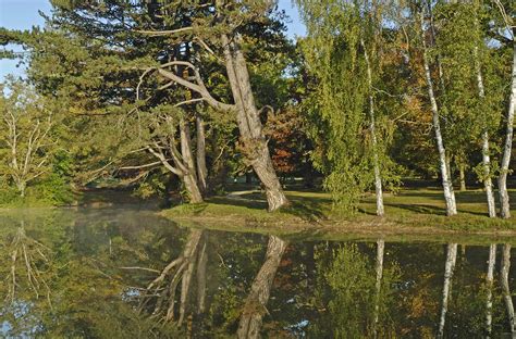 PARC DU DOMAINE DE COURSON JEAN PIERRE DELAGARDE PHOTOGRAPHE À PARIS