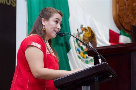 Propuso diputada Luz María Palacios punto de acuerdo para exhortar al