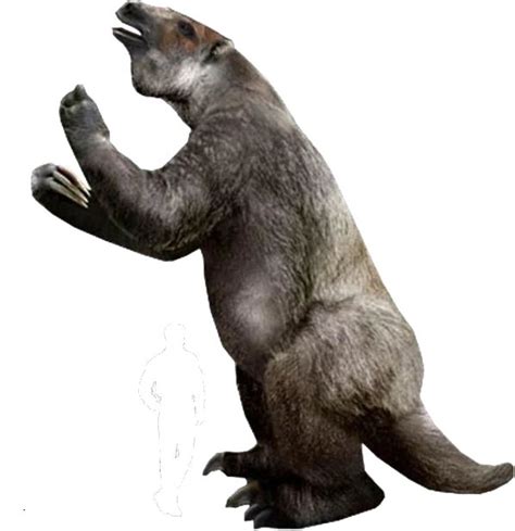 Megatherium Ground Sloth Mammals American Animals