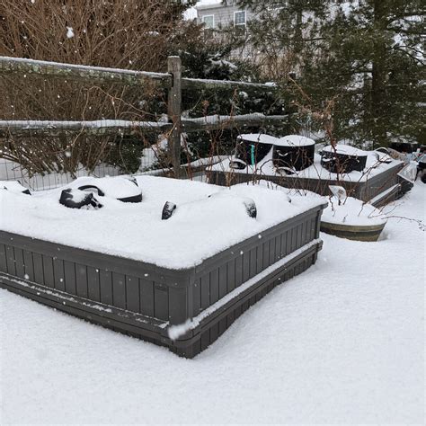 8 Winter Gardening Ideas for the Off-Season - Bunny's Garden