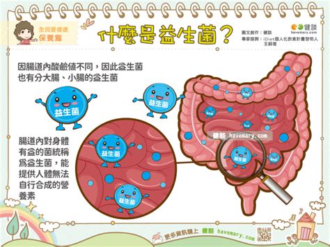 什麼是益生菌？ 蕃新聞