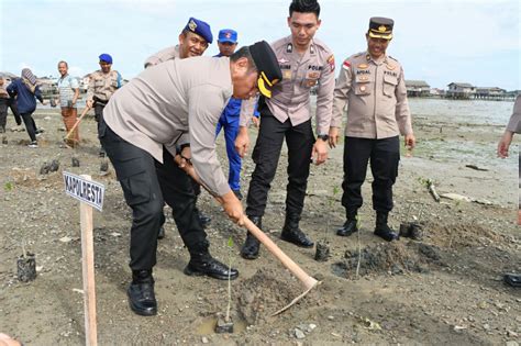 Peduli Lingkungan Polresta Tanjungpinang Tanam 500 Mangrove Harian Kepri