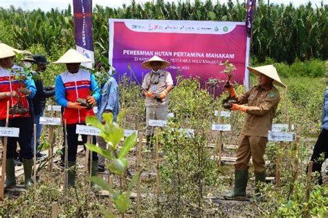 Pemkab Kukar Apresiasi Peresmian Hutan Pertamina Mahakam Sejalan