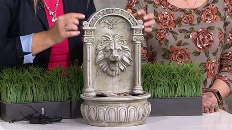 Bernini Rechargeable Indoorourdoor Lion Head Wall Fountain On Qvc