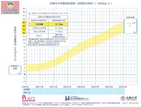 妊娠中に体重が増えないけど大丈夫？原因と対処法・管理ポイントを解説