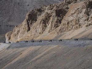 Ladakh Army Creating New Defences In Ladakh Shoring Up Infra The