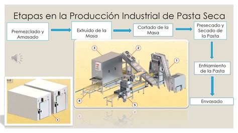 Proceso De Elaboración De Pastas Youtube