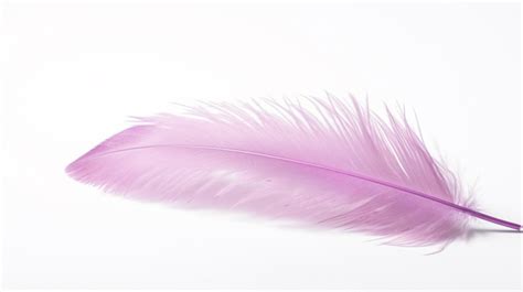 White Ostrich Feather Feathers Set Of Feather Ostrich Feather Png