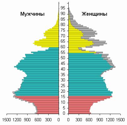 3.3.5. Половозрастные пирамиды