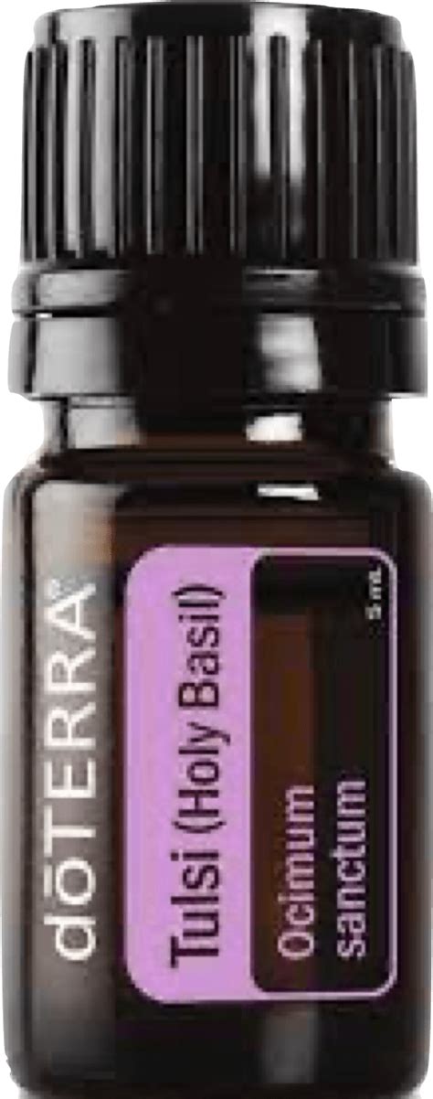 Tulsi Holy Basil Essential Oil By Doterra Jade Balden