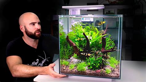 All In One Cube Aquarium Kit Jungle Style Planted Tank W Rocket