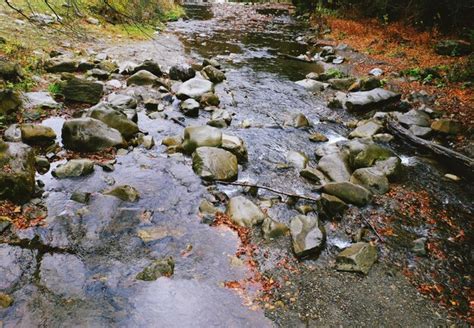 Premium Photo | Stream flowing through rocky path in mountains