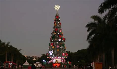 Saiba Como Visitar A Rvore De Natal Gigante No Parque Villa Lobos Em