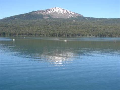 Boat Rental Picture Of Diamond Lake Resort Diamond Lake Tripadvisor