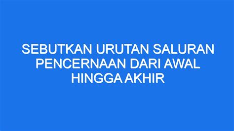 Sebutkan Urutan Saluran Pencernaan Dari Awal Hingga Akhir