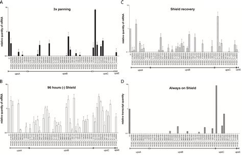 Frontiers The Transcription Factor Pfap2 O Influences Virulence Gene