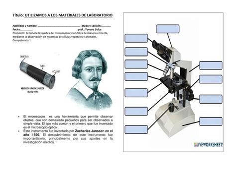 Laboratorio De Microscopio Pablo Udocz