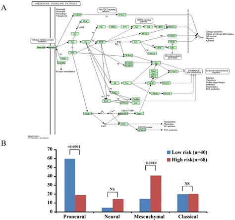 Pathway Analysis And Gene Expression Subtype Analysis A Kegg Pathway