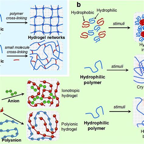 Schematic Of Versatile Fabrications Of Chemical Hydrogels A And