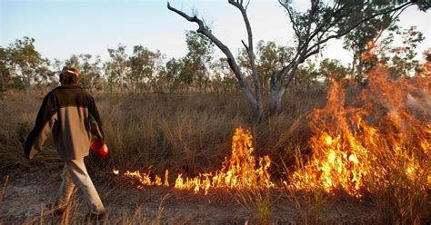 Bringing Indigenous Fire Back To Northern Australia Tnc