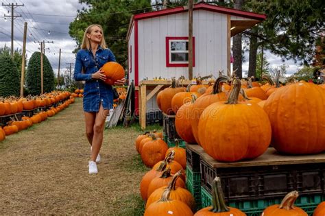 Beautiful European Blonde Female Pics Stock Photos Free Royalty Free Stock Photos From