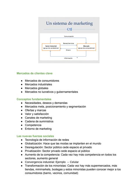 SOLUTION Resumen Mkt Docx Studypool