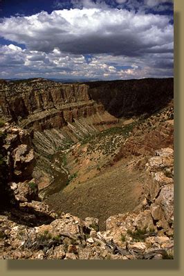 Cross Mountain Wilderness Study Area, Colorado