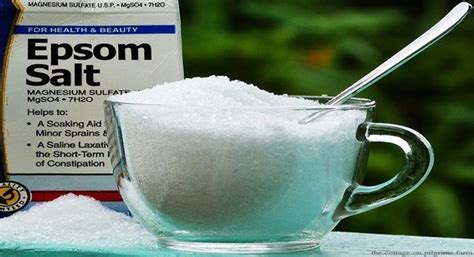 21 Collective Facts Why Epsom Salt Should Be In Every Home Healthy