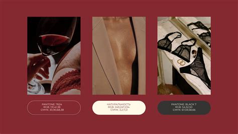 Lingerie Sasha S Bra Brand Identity Behance