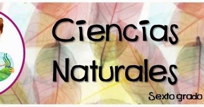 Ciencias Naturales Tema Importancia De Las Transformaciones