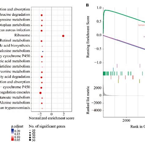 Enrichment Of Functional Pathways Of Differential Expressed Genes