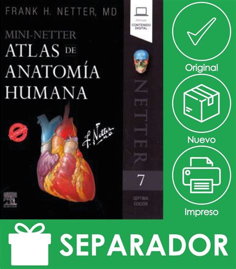 Mini netter Atlas De Anatomía Humana 7ed Original Envío gratis